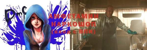 a pvp Новозыбков