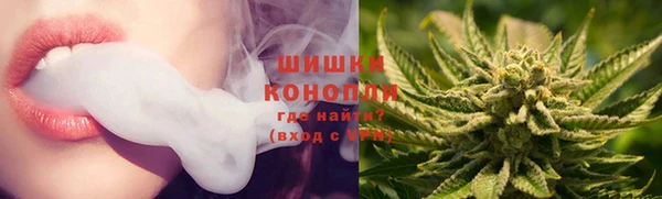 дурь Галич
