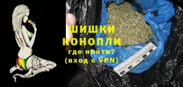 трава Гвардейск