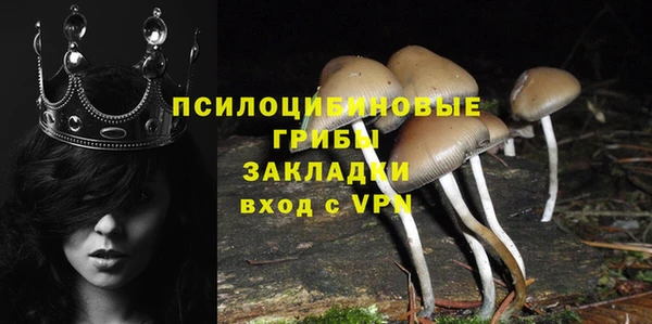 a pvp Новозыбков