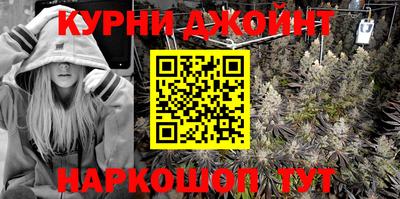 крисы Бийск
