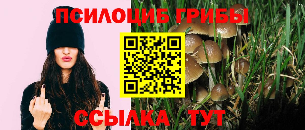 Псилоцибиновые грибы мицелий Коряжма